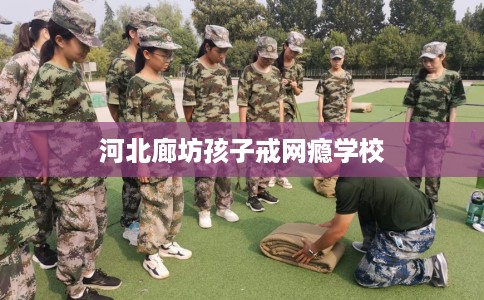 河北廊坊孩子戒网瘾学校