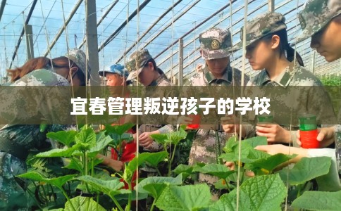 宜春管理叛逆孩子的学校