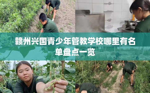 赣州兴国青少年管教学校哪里有名单盘点一览