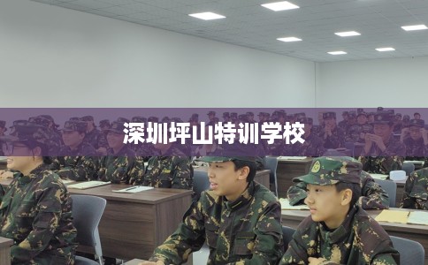 深圳坪山特训学校