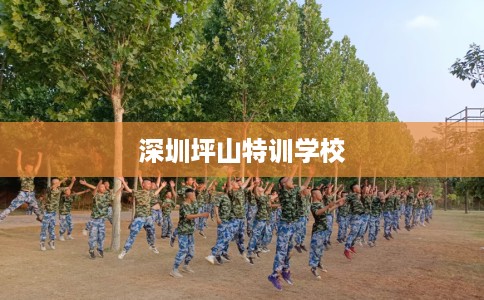深圳坪山特训学校