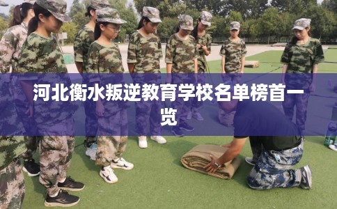 河北衡水叛逆教育学校名单榜首一览
