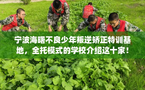 宁波海曙不良少年叛逆矫正特训基地，全托模式的学校介绍这十家！
