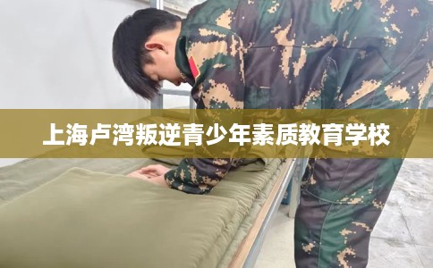上海卢湾叛逆青少年素质教育学校