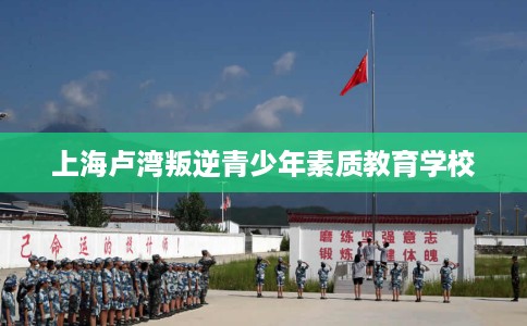 上海卢湾叛逆青少年素质教育学校