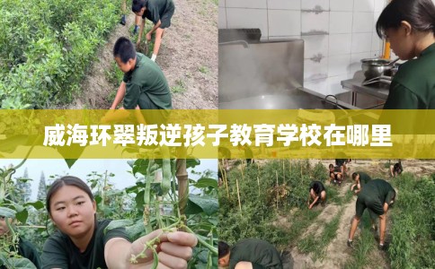 威海环翠叛逆孩子教育学校在哪里