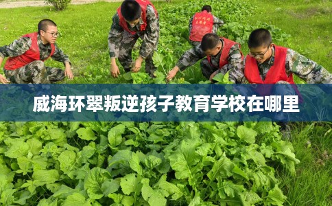 威海环翠叛逆孩子教育学校在哪里