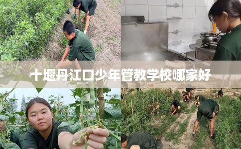 十堰丹江口少年管教学校哪家好