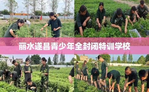 丽水遂昌青少年全封闭特训学校