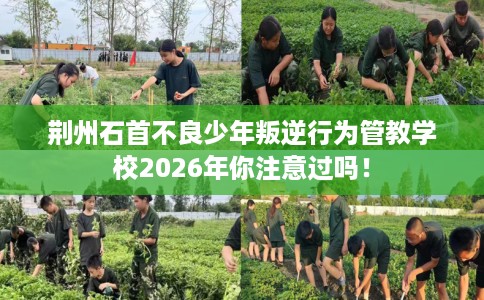 荆州石首不良少年叛逆行为管教学校2026年你注意过吗！