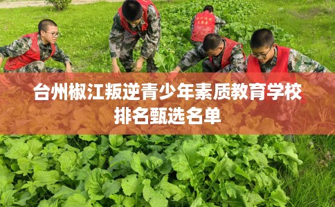 台州椒江叛逆青少年素质教育学校排名甄选名单