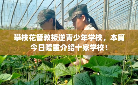攀枝花管教叛逆青少年学校，本篇今日隆重介绍十家学校！