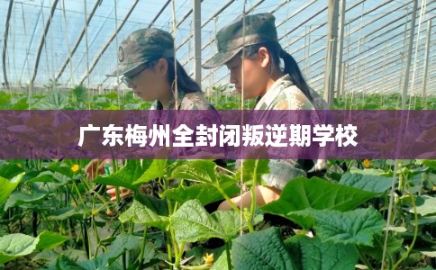 广东梅州全封闭叛逆期学校