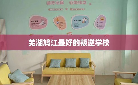 芜湖鸠江最好的叛逆学校