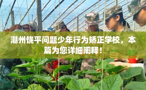 潮州饶平问题少年行为矫正学校，本篇为您详细阐释！