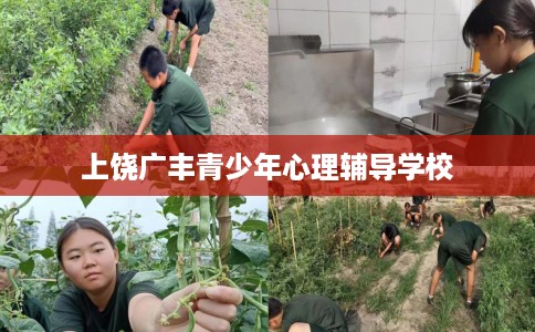 上饶广丰青少年心理辅导学校