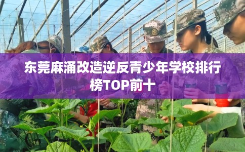 东莞麻涌改造逆反青少年学校排行榜TOP前十