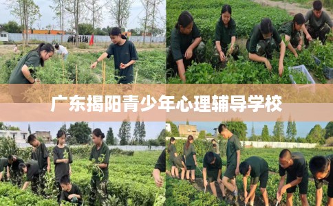广东揭阳青少年心理辅导学校