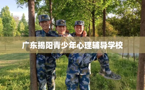 广东揭阳青少年心理辅导学校