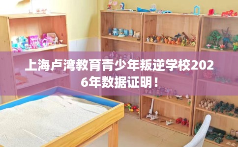 上海卢湾教育青少年叛逆学校2026年数据证明！