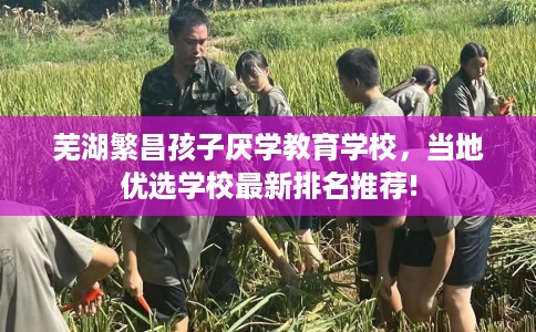 芜湖繁昌孩子厌学教育学校，当地优选学校最新排名推荐!