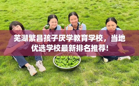 芜湖繁昌孩子厌学教育学校，当地优选学校最新排名推荐!