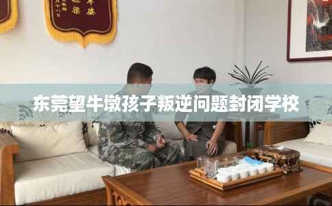 东莞望牛墩孩子叛逆问题封闭学校