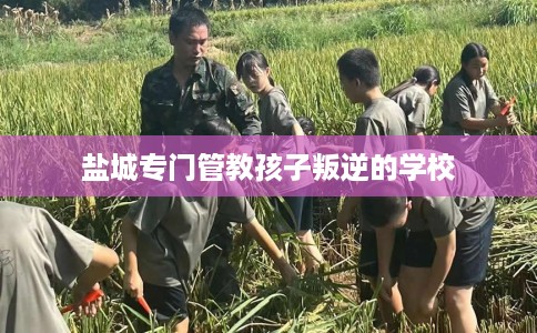 盐城专门管教孩子叛逆的学校