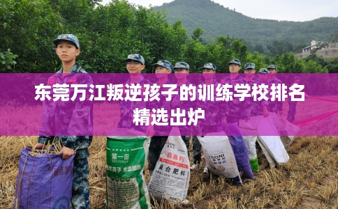 东莞万江叛逆孩子的训练学校排名精选出炉