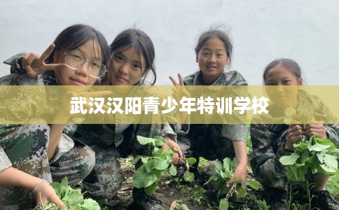 武汉汉阳青少年特训学校