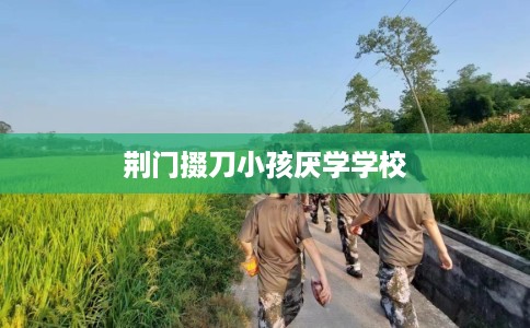荆门掇刀小孩厌学学校