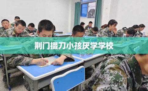 荆门掇刀小孩厌学学校