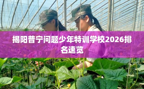 揭阳普宁问题少年特训学校2026排名速览