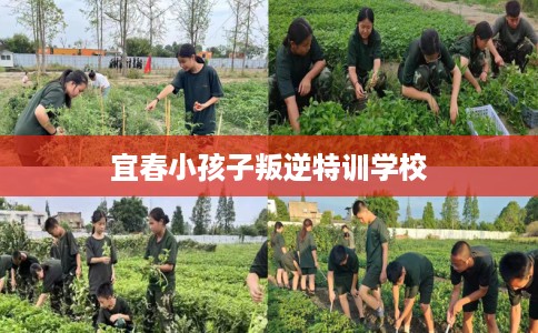 宜春小孩子叛逆特训学校
