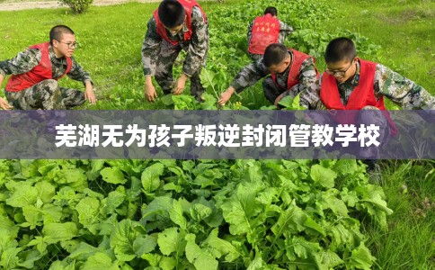 芜湖无为孩子叛逆封闭管教学校