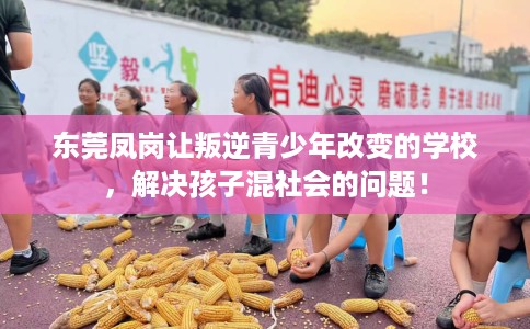 东莞凤岗让叛逆青少年改变的学校，解决孩子混社会的问题！