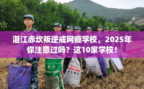 湛江赤坎叛逆戒网瘾学校，2025年你注意过吗？这10家学校！