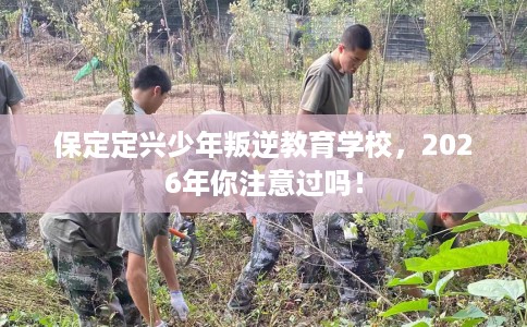 保定定兴少年叛逆教育学校，2026年你注意过吗！