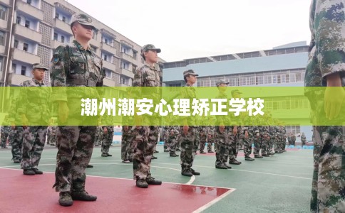 潮州潮安心理矫正学校