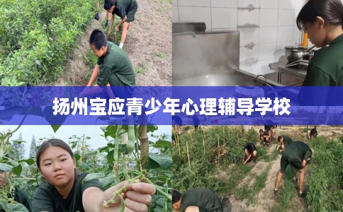 扬州宝应青少年心理辅导学校