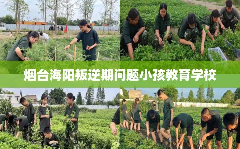 烟台海阳叛逆期问题小孩教育学校