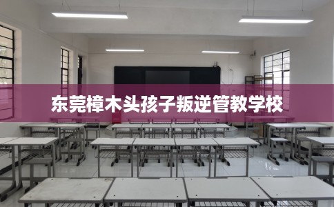 东莞樟木头孩子叛逆管教学校