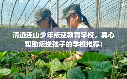 清远连山少年叛逆教育学校，真心帮助叛逆孩子的学校推荐！