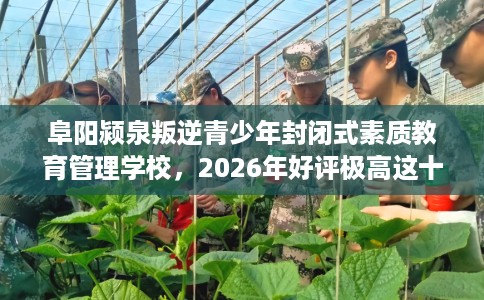 阜阳颍泉叛逆青少年封闭式素质教育管理学校，2026年好评极高这十家学校！