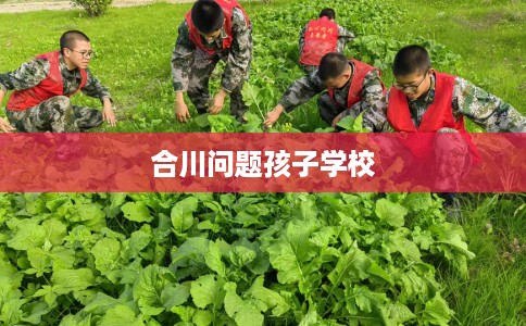 合川问题孩子学校