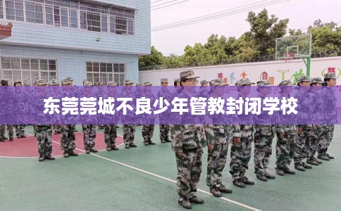 东莞莞城不良少年管教封闭学校