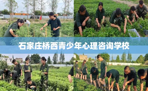 石家庄桥西青少年心理咨询学校