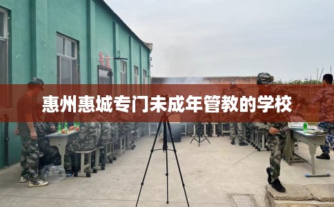 惠州惠城专门未成年管教的学校