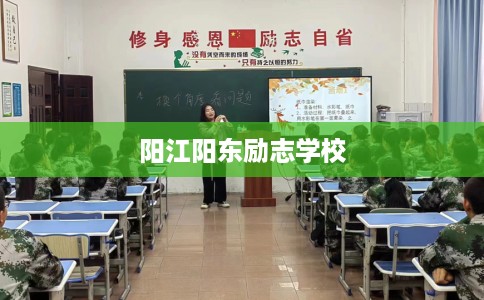 阳江阳东励志学校