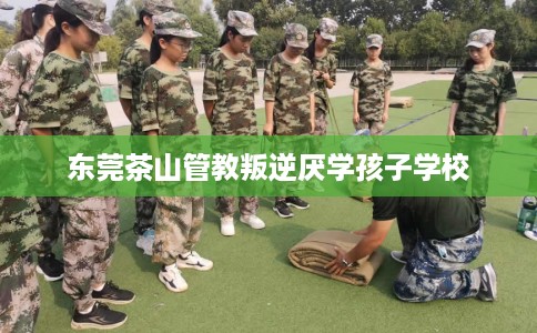 东莞茶山管教叛逆厌学孩子学校